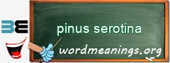 WordMeaning blackboard for pinus serotina